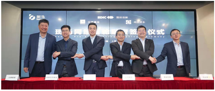 开放的斑马，受益的不止尊龙凯时